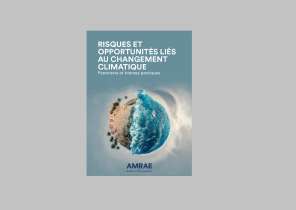 Risques et Opportunités liés au changement climatique :  Panorama et bonnes pratiques